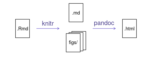 plot of chunk rmd_to_html_fig