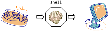 The Shell as a Process