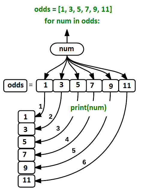 Loop variable 'num' being assigned the value of each element in the list `odds` in turn and
then being printed