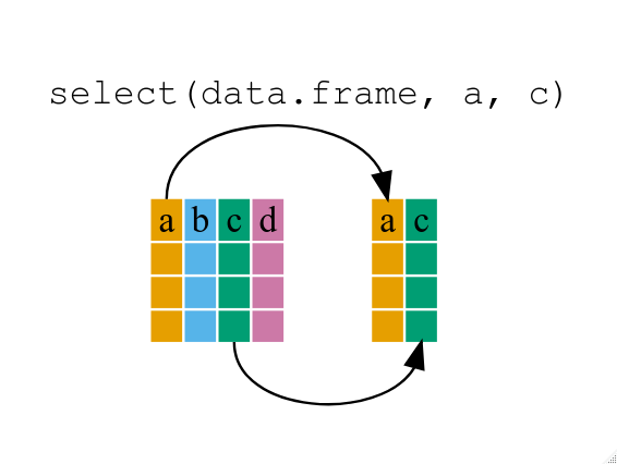 Diagram illustrating use of select function to select two columns of a data frame